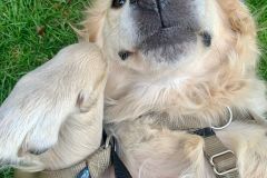 IMG-20221012-WA0030