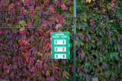 Scoreboard-1